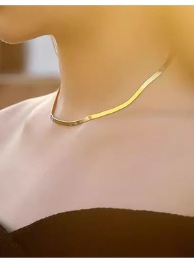 精致不掉色钛钢项链男女生情侣冷淡风高级感蛇骨链颈链刀片锁骨链