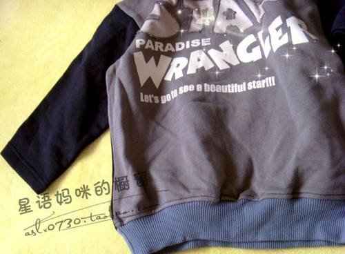 特外贸春秋纯棉儿童男童长袖短袖卫衣T恤加肥厚毛圈3-5岁2298 - 图0