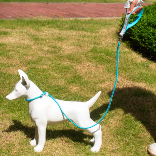 赛级P绳P链狗狗牵引绳训犬狗绳大中小型犬通用外出遛狗链子防打结 - 图2