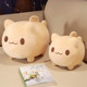 Birthday gift cat doll plush toys on bed