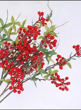年宵花，冬青果，仿真罗汉果，42CM   果子大小1CM