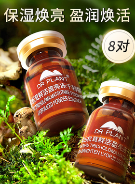 高山松茸冻干粉精华液
