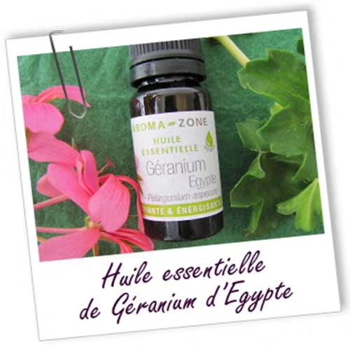 法国aroma zone AZ玫瑰天竺葵单方精油10ml GERANIUM EGYPTE-图0