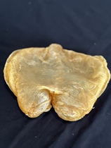 2 heads on the open side of the yellow flower glue