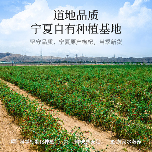 杞里香枸杞子250g*6罐宁夏头茬特优级大颗粒苟杞泡水茶官方旗舰店 - 图1
