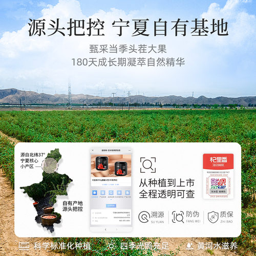 杞里香正宗头茬枸杞子宁夏特级500g无硫熏不染色干大果官方旗舰店 - 图0