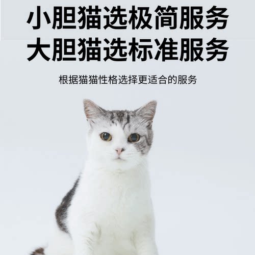 大猫飞鱼伴宠官上门喂猫深圳照顾宠物喂养代养猫咪代喂铲屎 - 图0