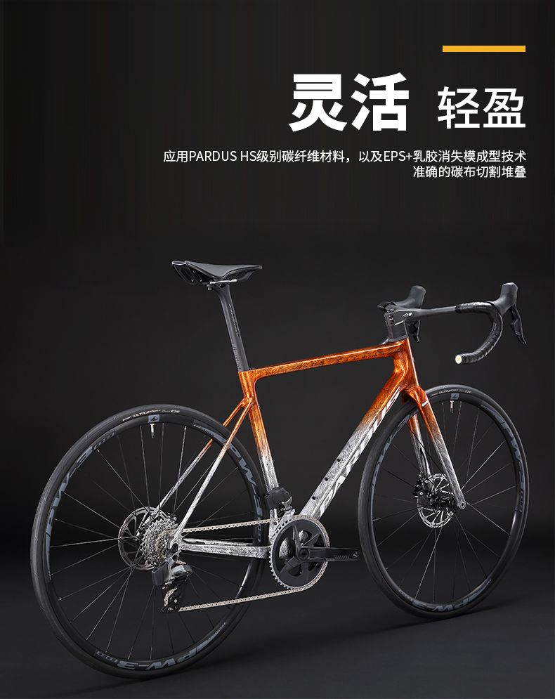 pardus瑞豹公路车robin rs rival电变油碟2*12速碳纤维公路自行车 - 图1