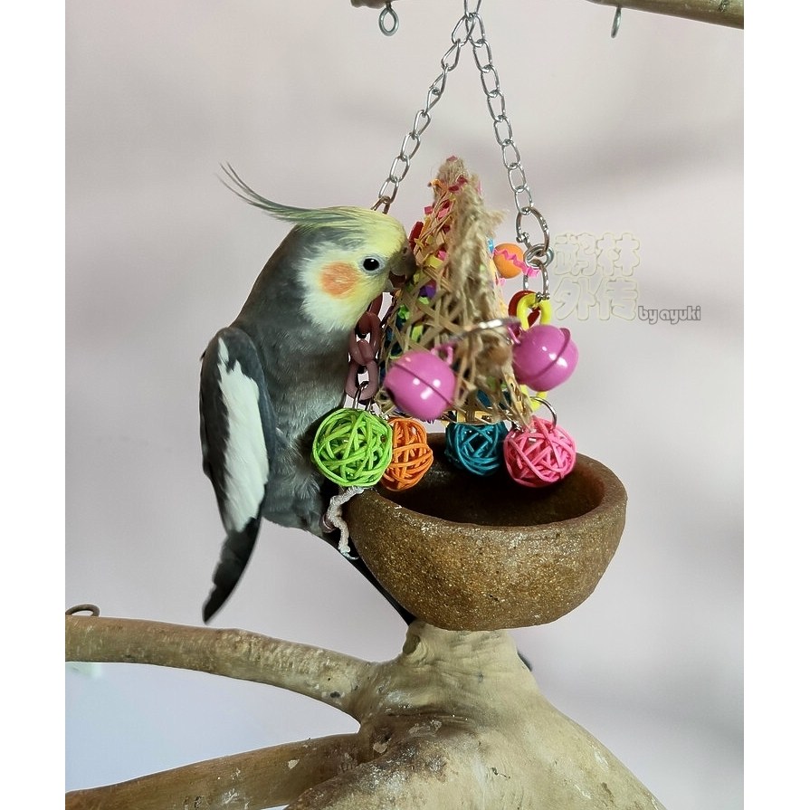 店主推荐鹦鹉益智用品缤纷竹编饺子撕纸玩具牡丹玄凤小太磨嘴玩具,淘宝优惠券,粉丝福利购,淘宝优惠卷