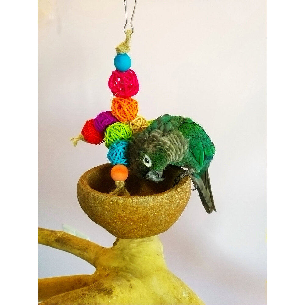 店主推荐鹦鹉啃咬玩具藤球塔啃咬串牡丹玄凤虎皮宠物鸟用具用品,淘宝优惠券,粉丝福利购,淘宝优惠卷