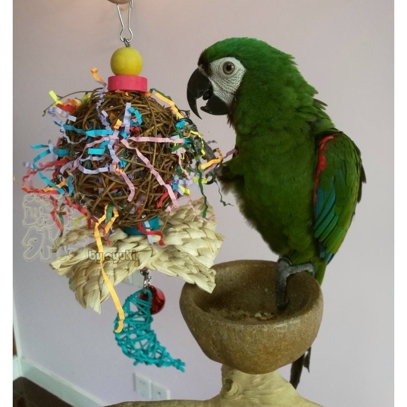 中小型鹦鹉啃咬破坏类玩具缤纷大章鱼彩球玄凤牡丹鹦鹉磨嘴鸟用品,淘宝优惠券,粉丝福利购,淘宝优惠卷