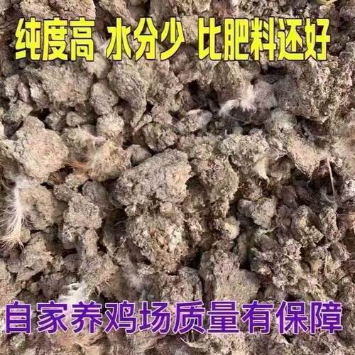 纯干鸡粪农家通用瓜果蔬菜农家天然农家鸡屎种菜家用干鸡粪粪干 - 图0