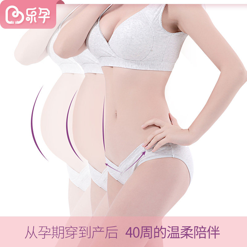 乐孕孕妇怀孕期托腹低腰无痕春短裤 乐孕内裤