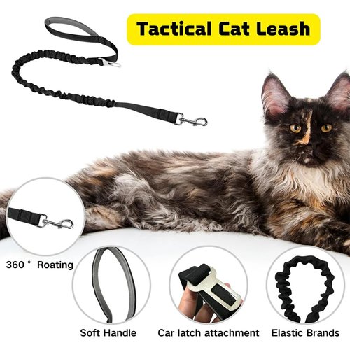 Tactical Cat Dog Harness Leash For Working Adjustable Pet V - 图1