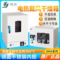 Shanghai Seihong DHG-9030A 9070A 9140A electric hot blast drying oven vertical thermostatic spot