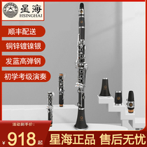 Starsea Clarinet Black Tube Instrument de musique Drop B Hikes Sound Beginner Test Class Students Children Adult Professional Teaching Play