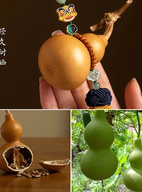 原创天然葫芦挂件家居室内挂饰黄色流苏车载后视镜汽车挂件吊坠礼