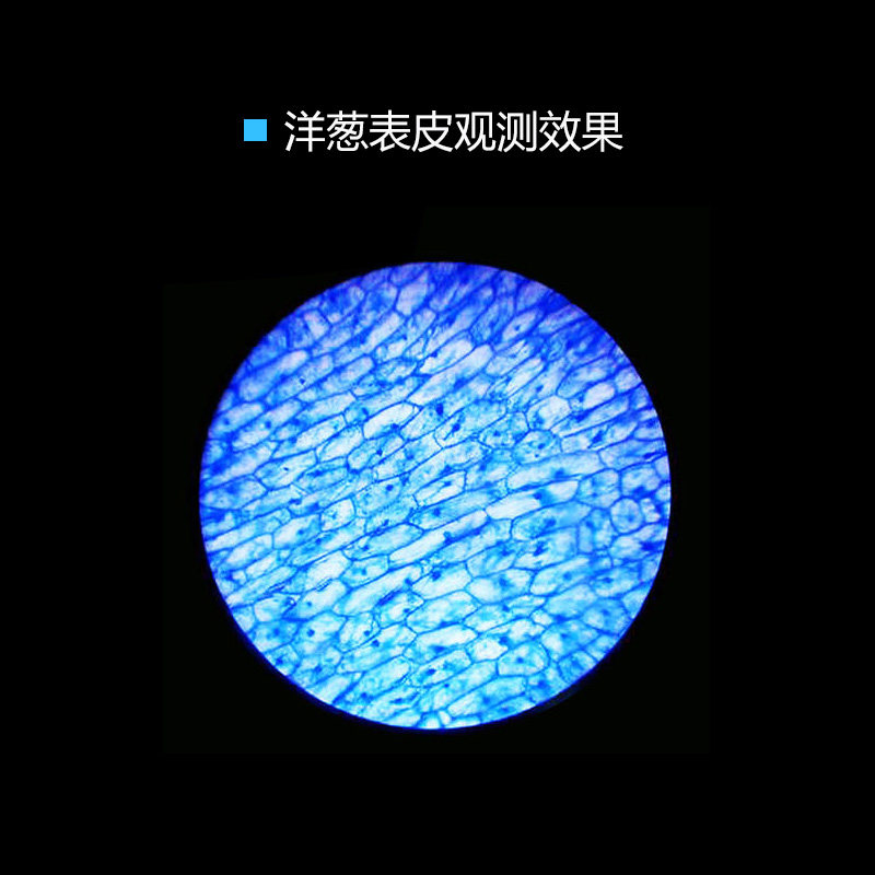 美国星特朗120倍便携式手持显微镜放大镜学生儿童节礼物生物科学,淘宝优惠券,粉丝福利购,淘宝优惠卷