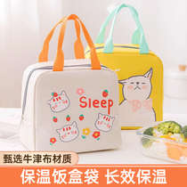 Lunch Box Handbag with Dining Pocket Lunch Bag Aluminum Foil Student Work Group Large Capacity Insulated Bag Fashion Clothing Bag