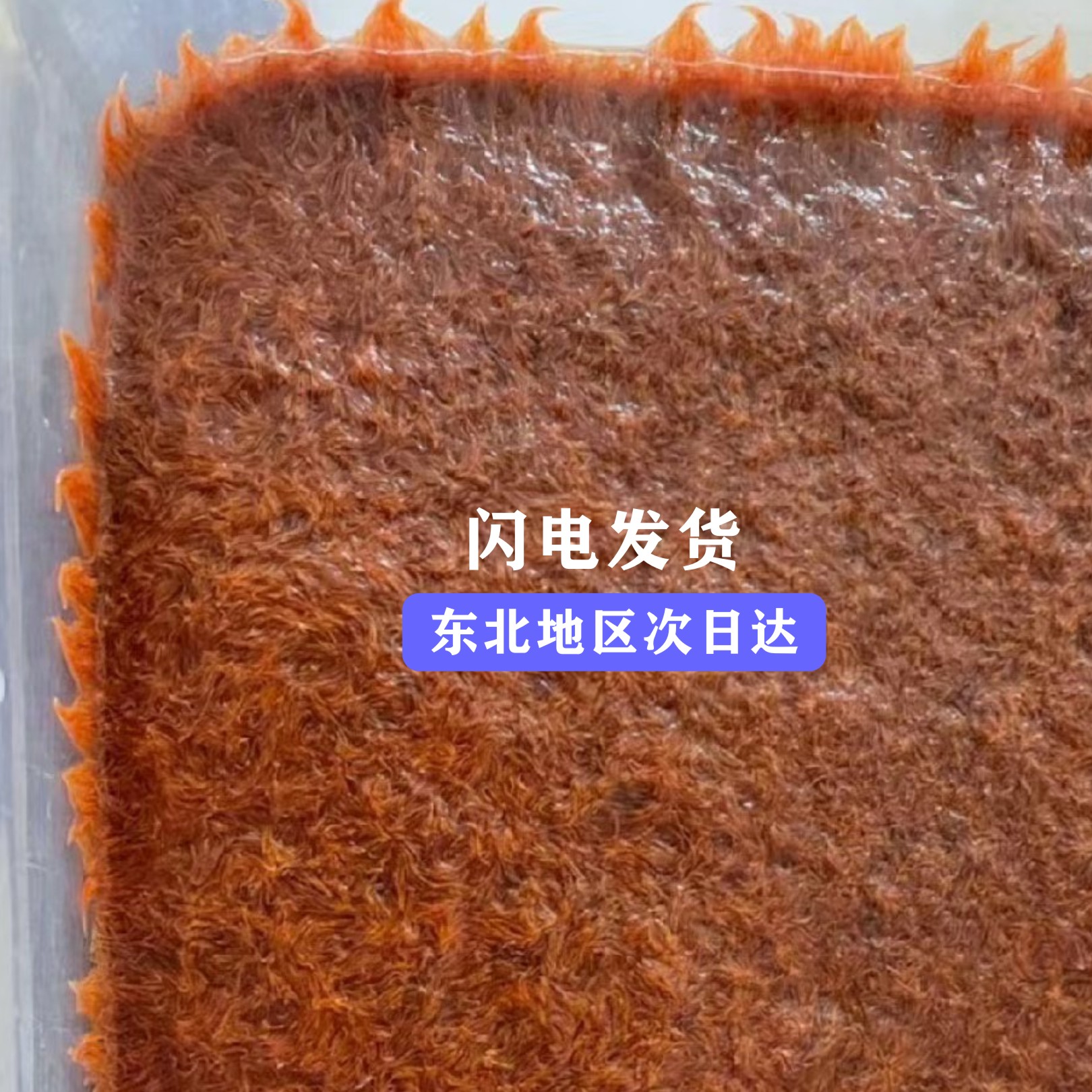 鱼饲料红线虫鲜活线虫活饵鱼食水蚯蚓孔雀观赏鱼六角恐龙生物饵料 - 图0