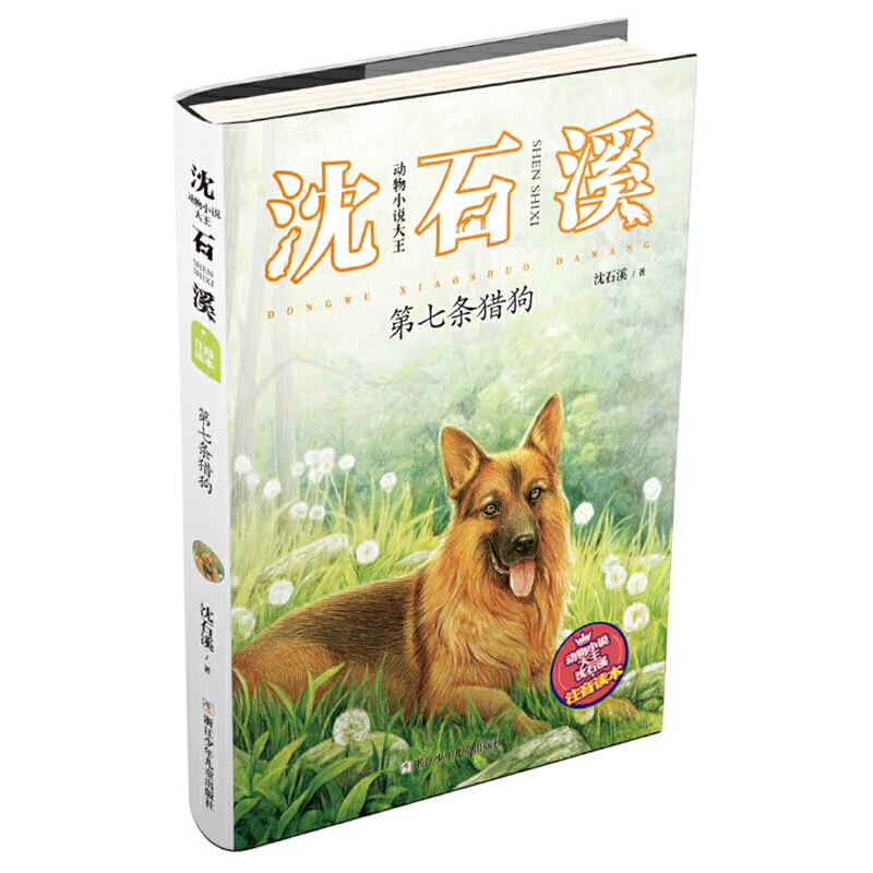 15册动物小说大王沈石溪注音读本狼王梦斑羚飞渡第七条猎狗会做生意的狐狸给大象拔刺戴银铃的长臂猿雄鹰金闪子举白旗的鱼母牛蓝铃 - 图0