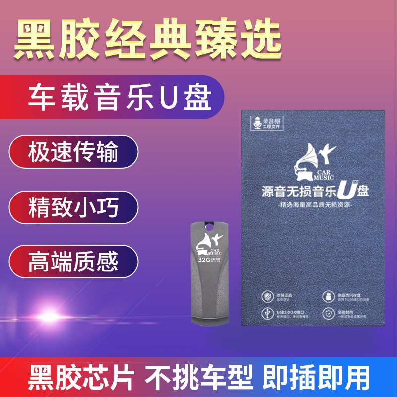 汽车载U盘超嗨炸街DJ重低音劲爆舞曲电音32G无损高音质USB优盘WAV - 图2