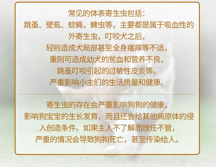 宠特佳小型犬体外虫滴剂体外驱虫4-10kg虱子跳蚤蜱虫螨虫3支装/盒 - 图1