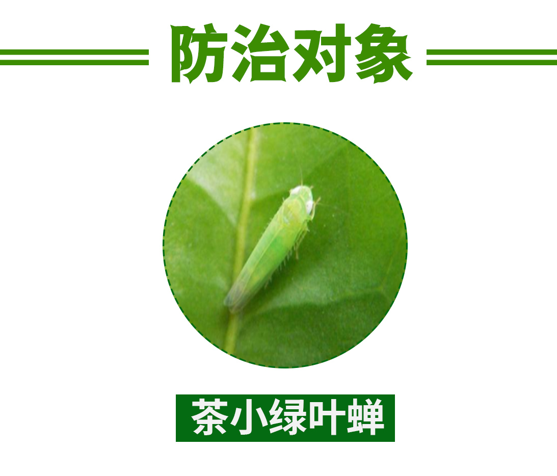 百农思达瑞卡22%噻虫高氯氟茶树茶小绿叶蝉农药杀虫剂 - 图1