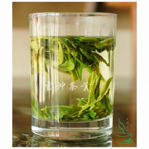 2026年新茶500g春茶龙井茶茶农茶叶绿茶新昌大佛龙井浓香龙井茶叶 - 图1