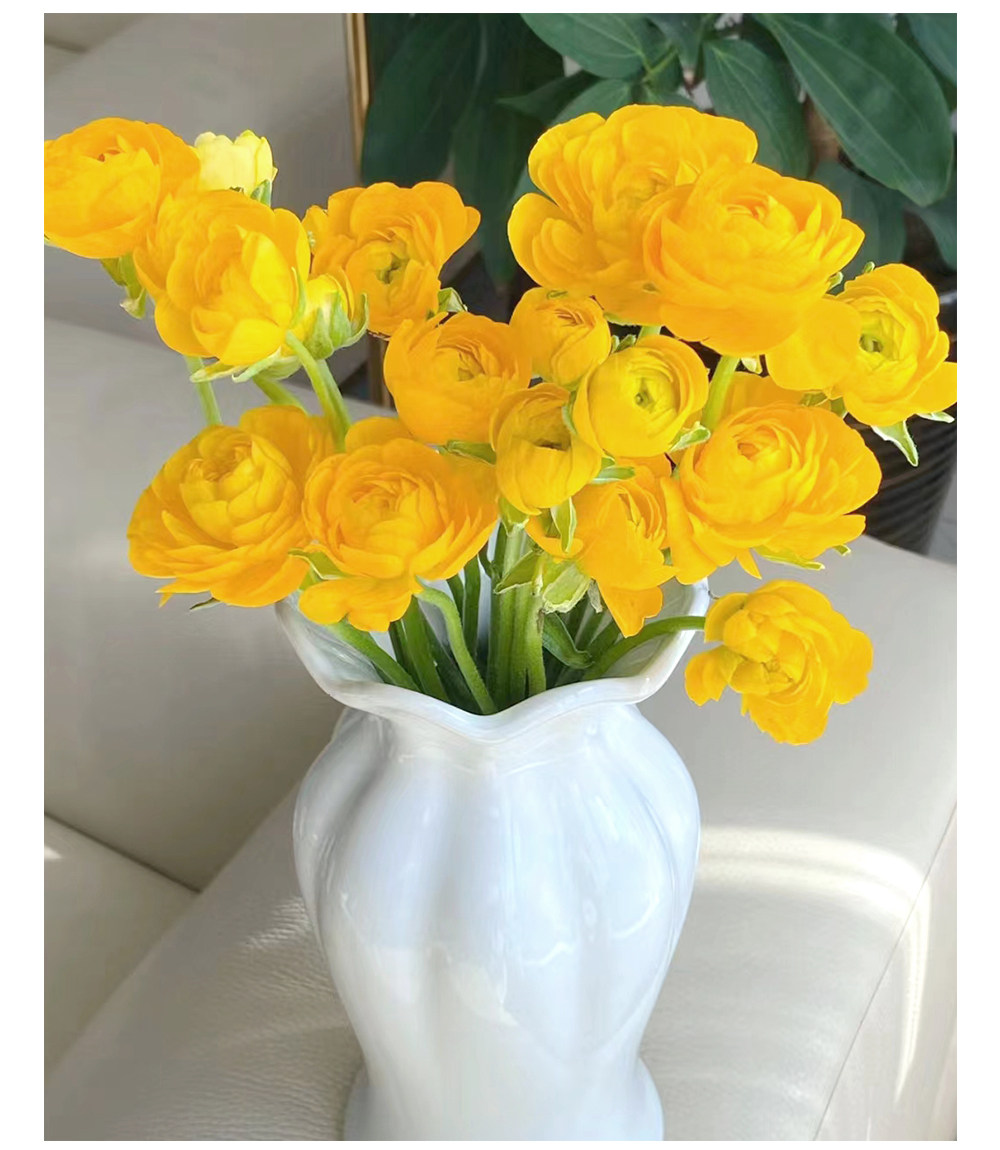 洋牡丹花毛茛鲜切洋牡丹两单发顺丰鲜花云南基地直发昆明花卉市场,淘宝优惠券,粉丝福利购,淘宝优惠卷