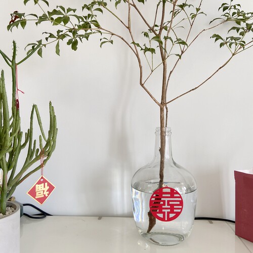 传统红喜字挂饰挂件绿植门把手贴画婚房布置装扮拍照用品 - 图2