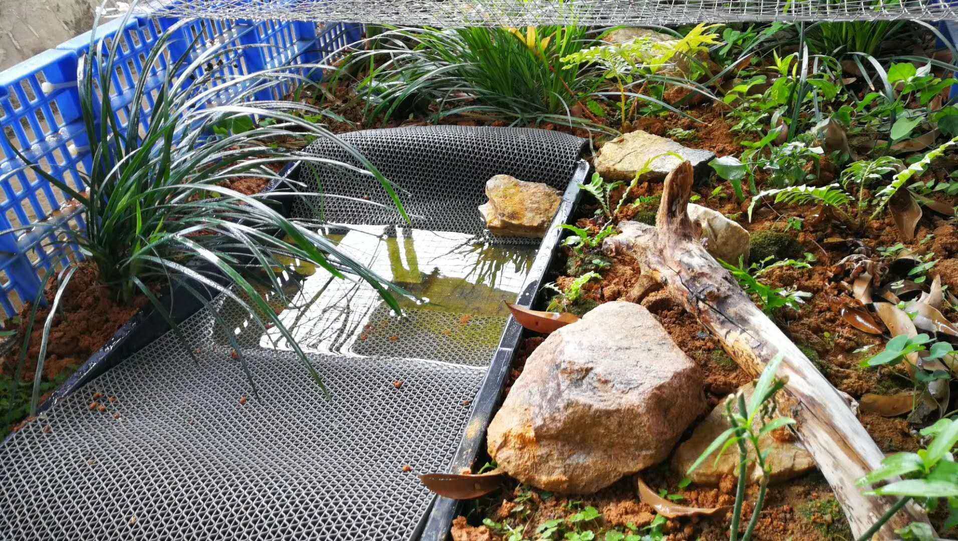 乌龟垫材保湿地毯爬箱宠物箱陆龟箱爬宠垫材防滑垫大号加长隔水垫,淘宝优惠券,粉丝福利购,淘宝优惠卷