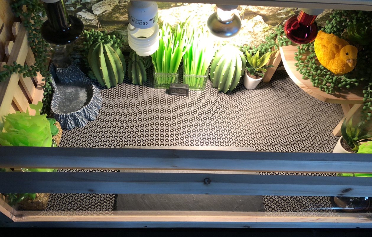 乌龟垫材保湿地毯爬箱宠物箱陆龟箱爬宠垫材防滑垫大号加长隔水垫,淘宝优惠券,粉丝福利购,淘宝优惠卷