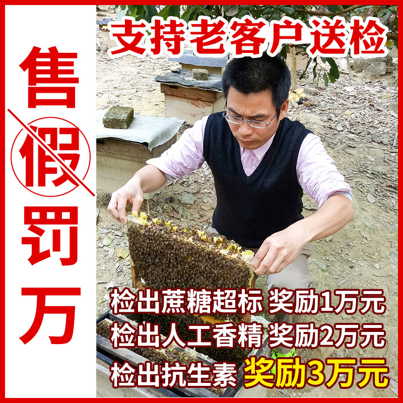 蜂人谷野生荔枝土蜂蜜野生土蜂蜜蜂蜜纯正天然野生500g第二瓶半价 - 图1