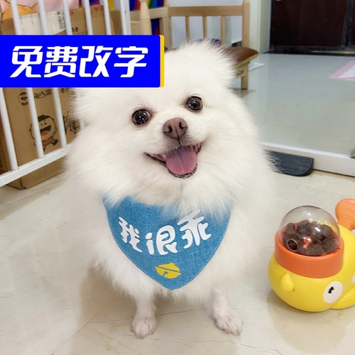 我很乖柯基宠物三角巾大狗萨摩围兜金毛围嘴哈士奇防水博美口水斤 - 图3