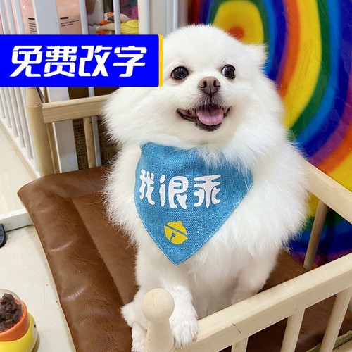 我很乖柯基宠物三角巾大狗萨摩围兜金毛围嘴哈士奇防水博美口水斤 - 图1