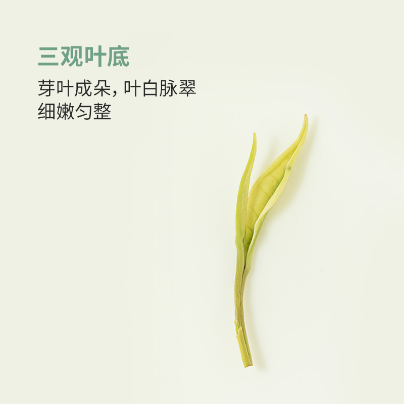 2024新茶上市卢正浩安吉原产白茶明前精品茶叶绿茶春茶100g自饮-图0