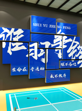 博尼亚羽毛球立体墙贴