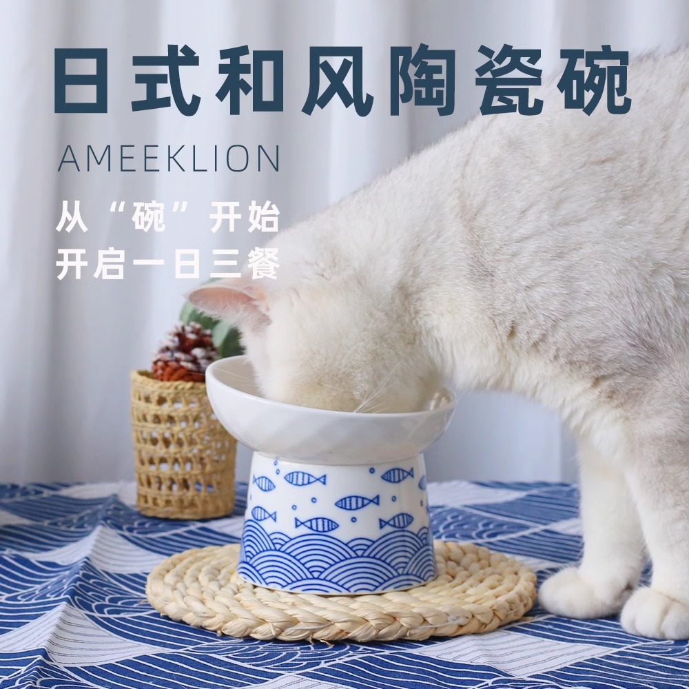 猫碗宠物陶瓷碗高脚保护颈椎猫粮碗饭碗喝水防打翻狗狗饮水碗斜口 - 图1