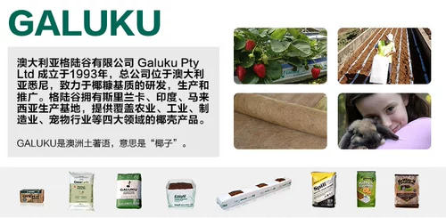 格陆谷 Блок из скорлупы кокоса, средний крупный, кирпич из скорлупы кокоса, воздухопроницаемый, кокосовые отруби, средний, почва для розы, гортензии, почвы для орхидеи, антуриума, дендробиума.