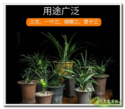 [Бесплатная доставка] Alando Orchidaceae Tulan Камень Орхидеи Камень Пемза Посадка камня Кора Вулканическая порода Красный нефрит 5 литров
