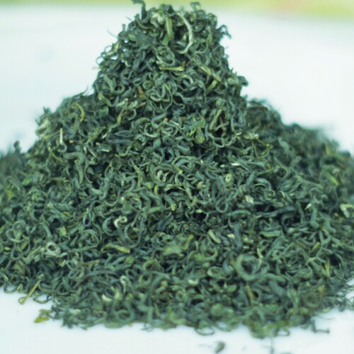 日照绿茶新茶叶山东炒青无农害手工浓香高山春茶散装500g袋装 - 图2