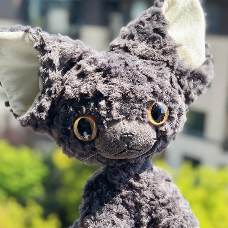 超萌黑色猫咪德文卷毛猫同款黑猫玩偶公仔玩具送生日礼物女生 - 图0