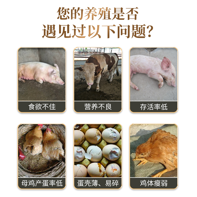 兽用小苏打粉牛羊猪吃的畜牧养殖饲料添加剂碳酸氢钠鸡鸭禽50斤10 - 图1