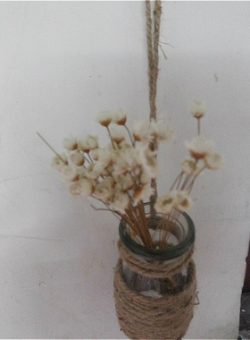 我的小花园zakka小物玻璃瓶水培