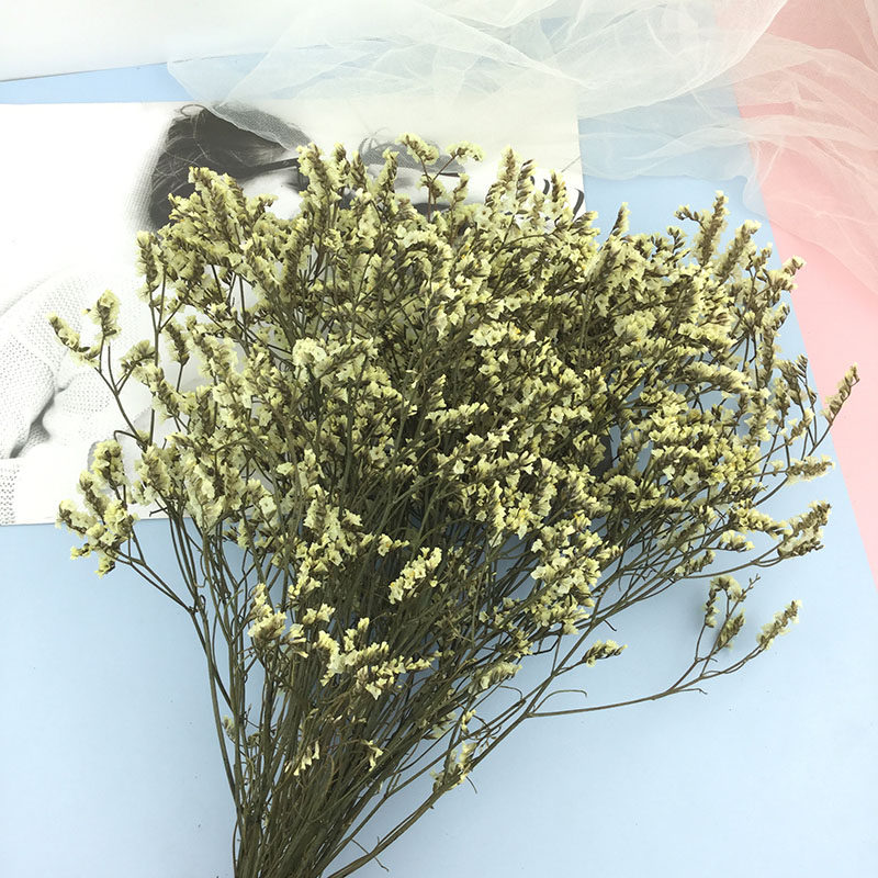 永生花水晶草告白礼物diy情人节礼盒花材天然花束真花玻璃罩配材