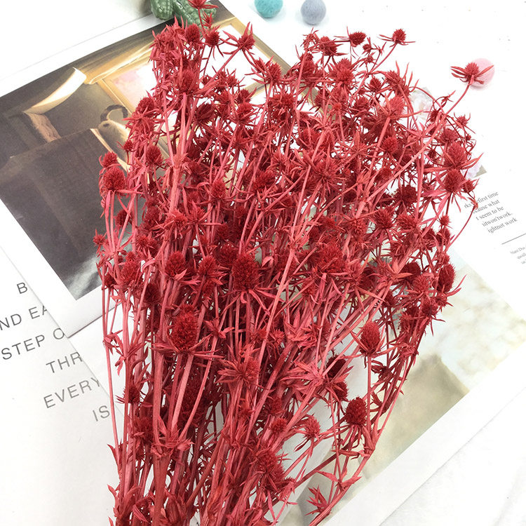 永生花小刺芹情人果玻璃罩diy新年摆台材料包婚礼花材ins北欧插花,淘宝优惠券,粉丝福利购,淘宝优惠卷