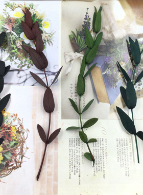 美叶桉尤加利永生花diy手腕花