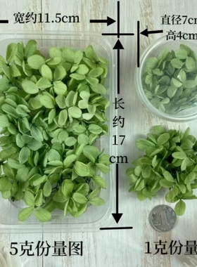 花掌柜A级永生花diy材料小叶安娜木绣球手工制作玩偶手办材料包
