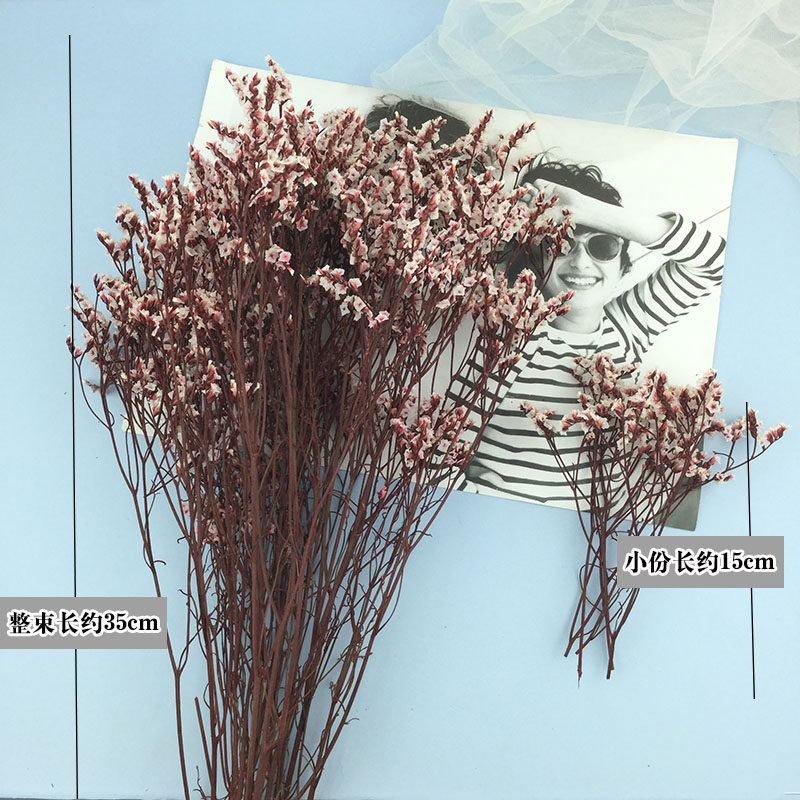 永生花水晶草告白礼物diy情人节礼盒花材天然花束真花玻璃罩配材